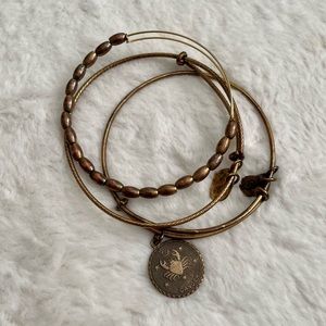 ALEX & ANI Zodiac Sign Cancer Bangle Bracelet Set